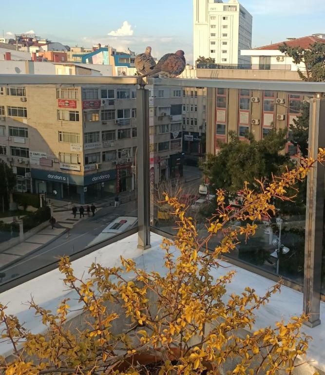 Old Town Grand Apart Hotel Antalya Buitenkant foto